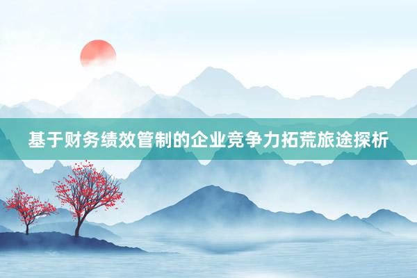 基于财务绩效管制的企业竞争力拓荒旅途探析